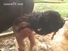 Brunette wench screwed with a horse in the mud